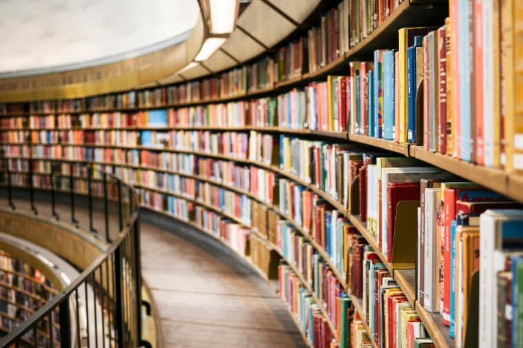 Education Equity Report Reveals Disparities in Access and Opportunities